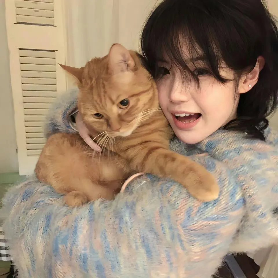 寻梦好莱坞